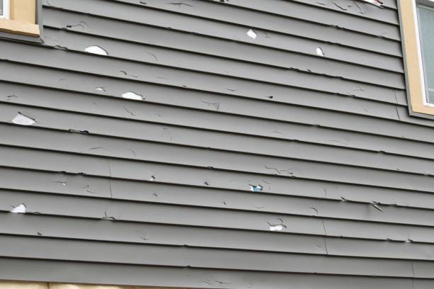 Best Historical Building Siding Restoration  in Sun Village, CA